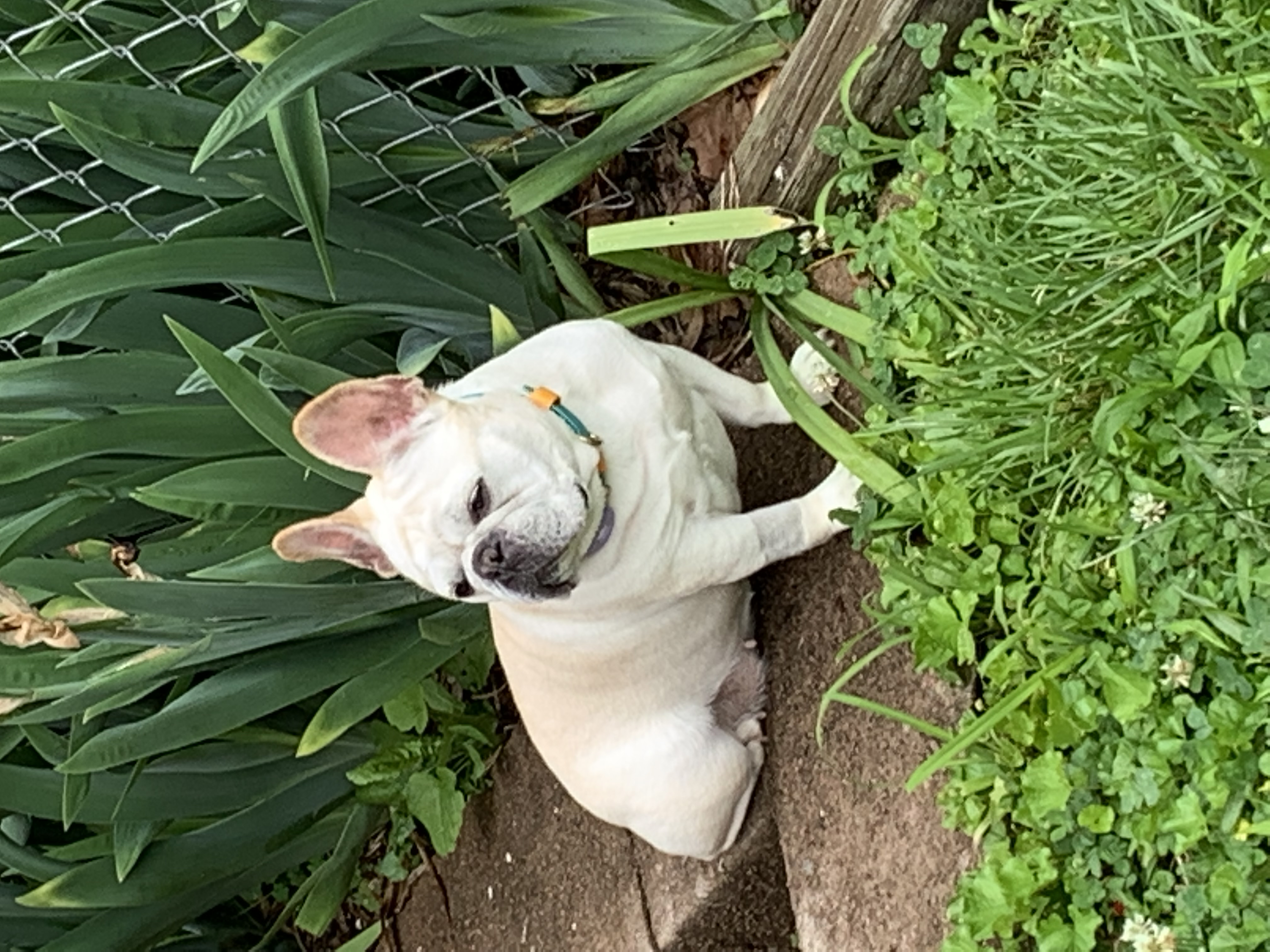 ./2022/06 - St Louis/05 - Day 5/20220525-121437589.JPG